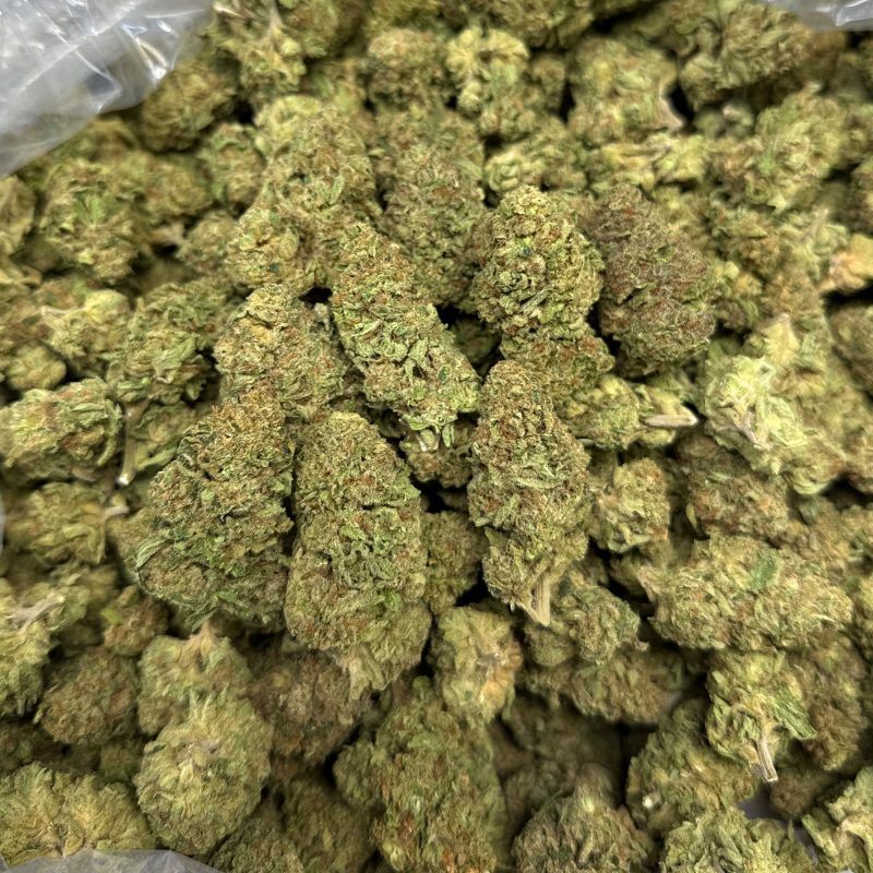 🍇🍬 RS-11 THCa Flower – 29.30% THCa | Premium Exotic Hybrid