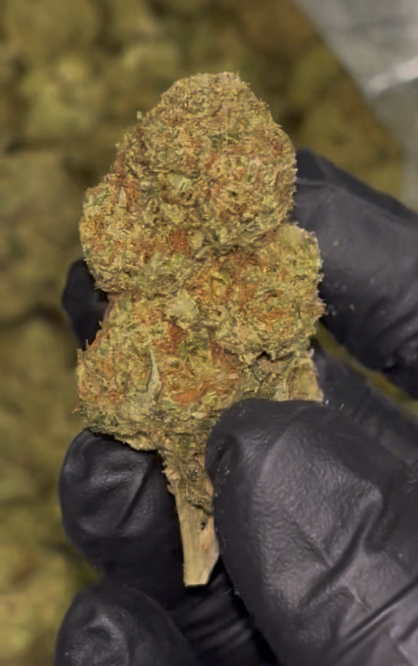 🏎️ Formula 1 Indoor THCa Flower – 32.66% THCa | Premium QP 🌿🔥