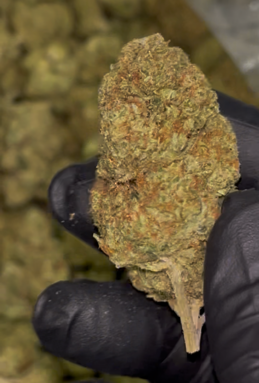 🏎️ Formula 1 Indoor THCa Flower – 32.66% THCa | Premium QP 🌿🔥