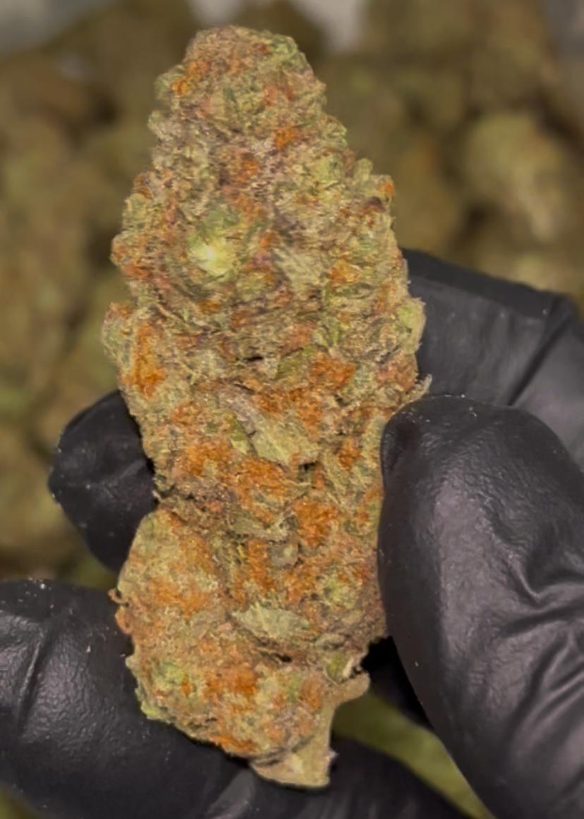 🎬 Bob Hope THCa Flower – 29.01% THCa | Premium QP (4 Ounces) 🌿🍋🔥