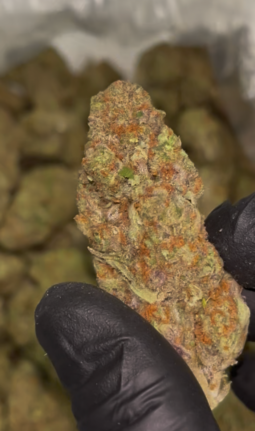 🎬 Bob Hope THCa Flower – 29.01% THCa | Premium 28G Ounce 🌿🍋🔥