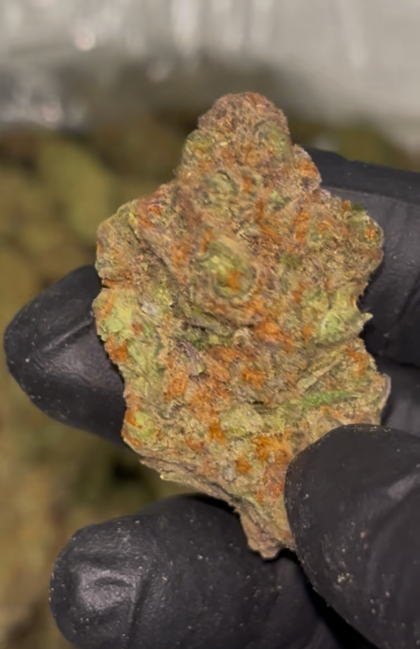 🫐 Blue Dream Indoor THCa Flower – 30.25% THCa | Premium 28G Ounce 💎🌿