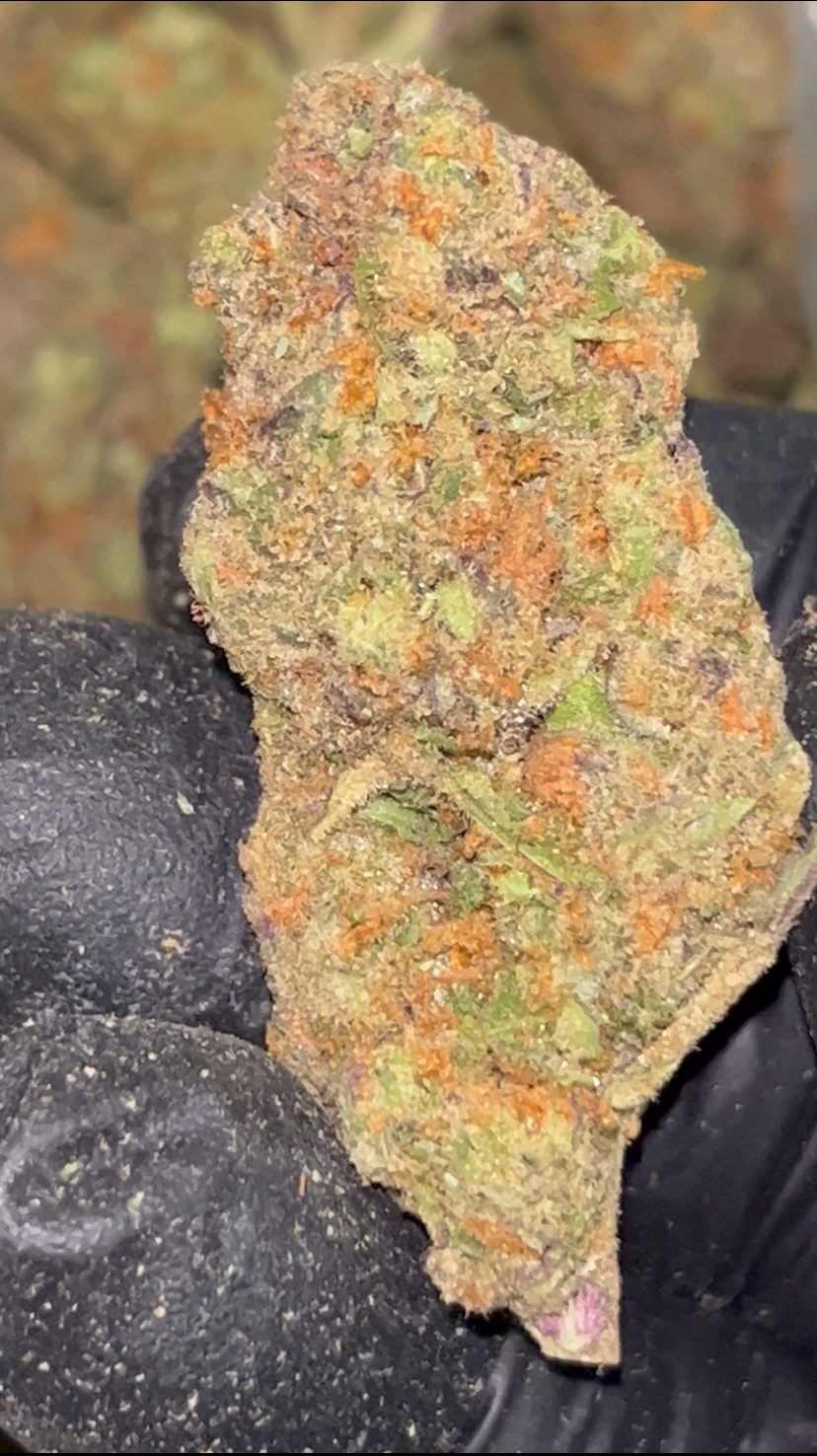 🍬💗 Pink Candy Runtz | 28G/14G Premium Indoor THCa Flower | 33.90% THCa 🌸🔥