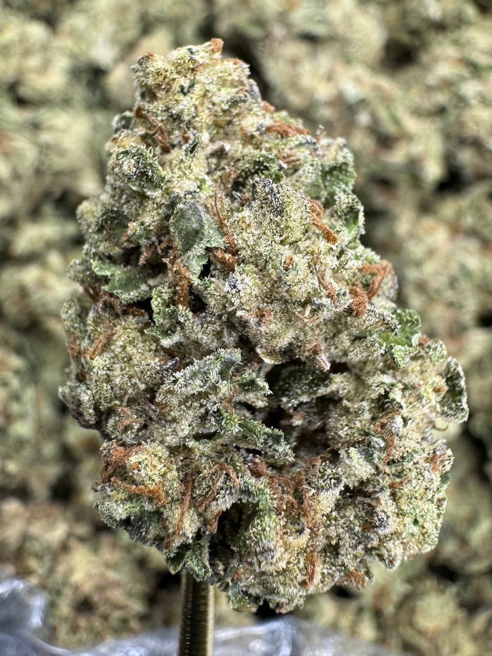 Sour Diesel THCa Flower | Indoor Ounce (7G x 28G)