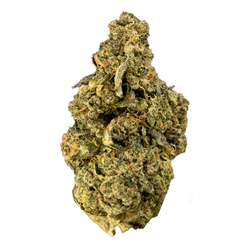 Biscotti THCa Flower 🍪💎 | 3.5g Eighth | 26.15% THCa 🔥 | Indica-Dominant Luxury Hybrid | Gelato #25 x South Florida OG | Sweet Cookie Gas