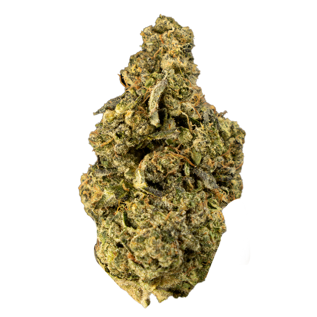 Biscotti THCa Flower 🍪💎 | 3.5g Eighth | 26.15% THCa 🔥 | Indica-Dominant Luxury Hybrid | Gelato #25 x South Florida OG | Sweet Cookie Gas
