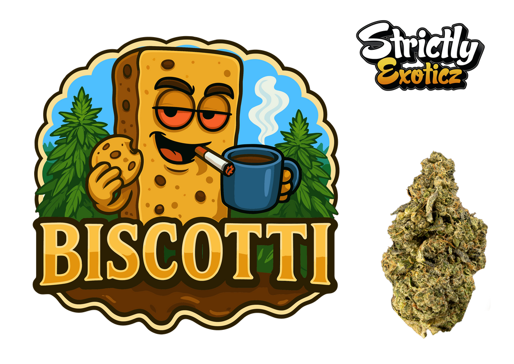 Biscotti THCa Flower 🍪💎 | 3.5g Eighth | 26.15% THCa 🔥 | Indica-Dominant Luxury Hybrid | Gelato #25 x South Florida OG | Sweet Cookie Gas
