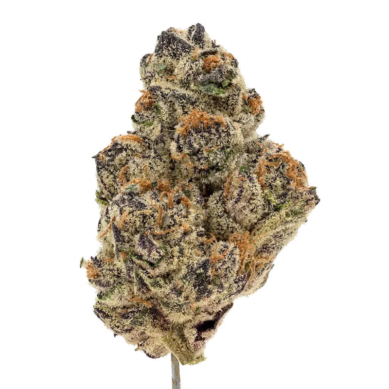 Zushi THCa Flower | Ounce (28Grams)