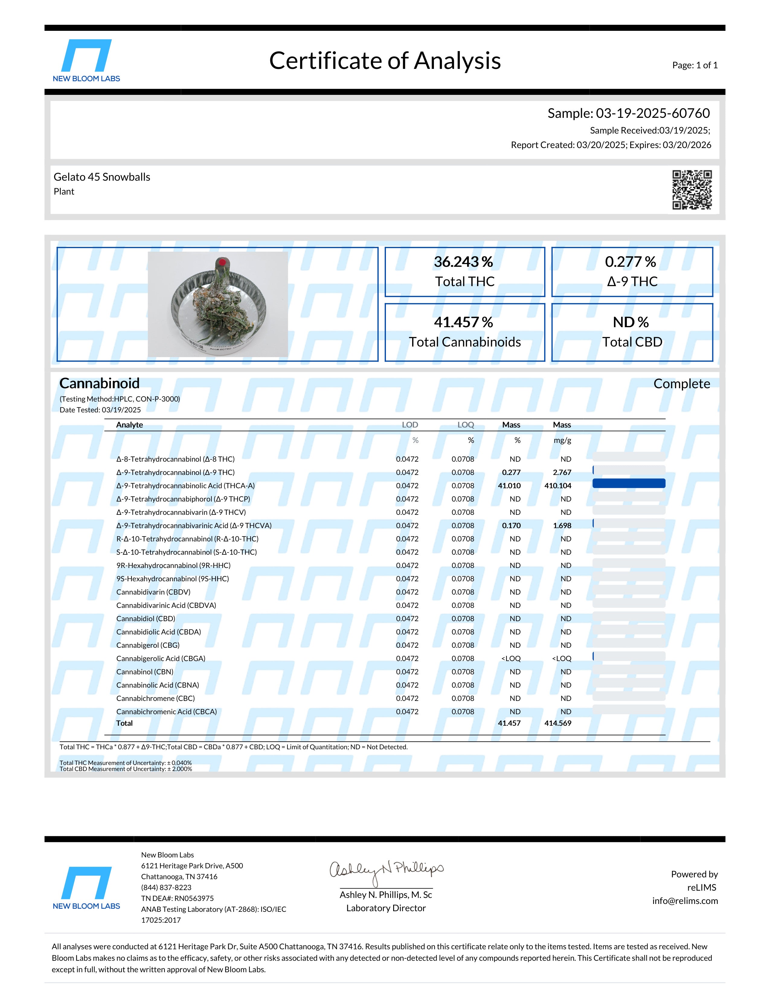 Gelato 45 THCa Snowballs | Premium Indoor Infused Flower