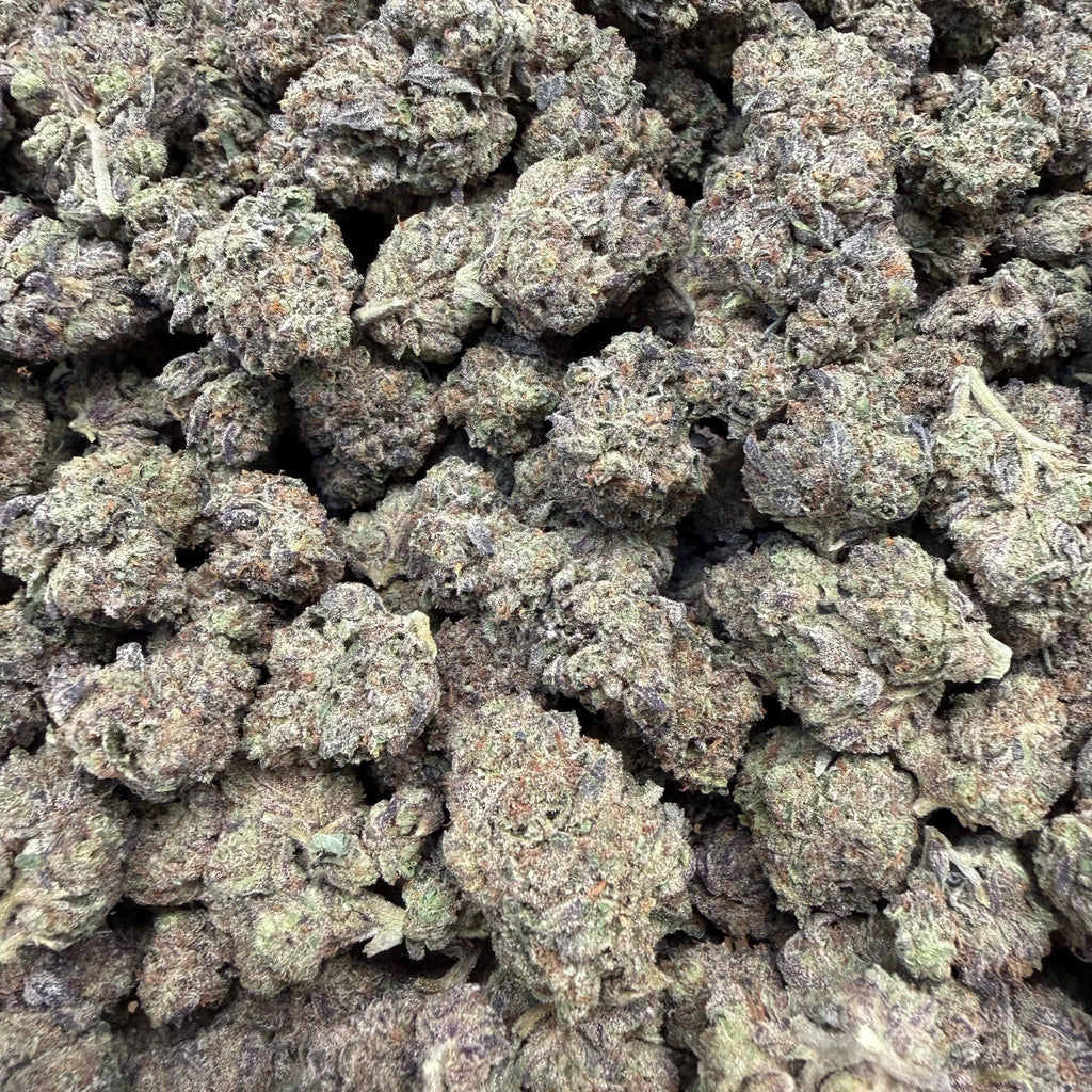🍋🍒 Lemon Cherry Gelato THCa Flower 🍨🔥 | 30.778% THCa 🌿 Premium Exotic | 28 Gram