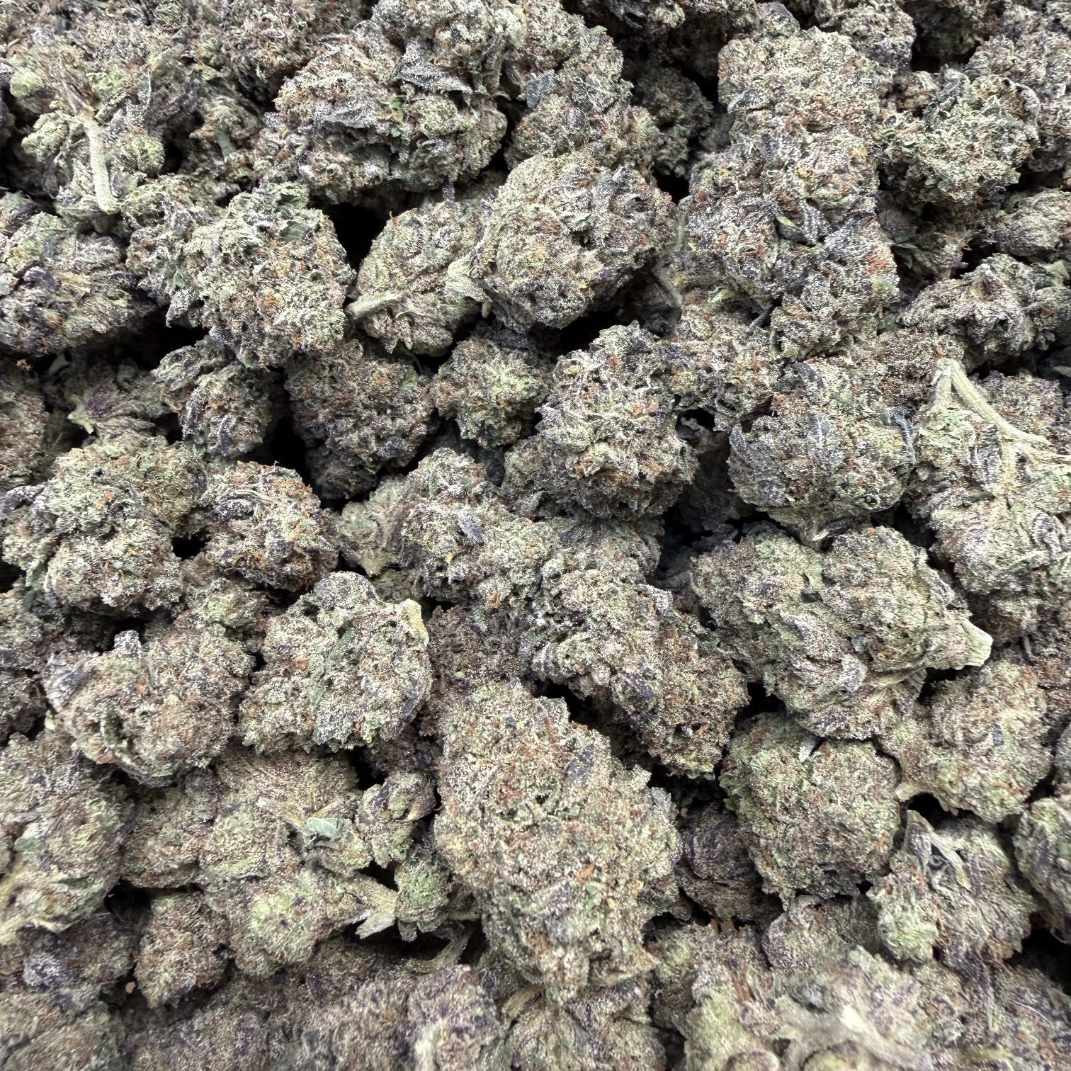 🍋🍒 Lemon Cherry Gelato THCa Flower 🍨🔥 | 30.778% THCa 🌿 Premium Exotic | 28 Gram