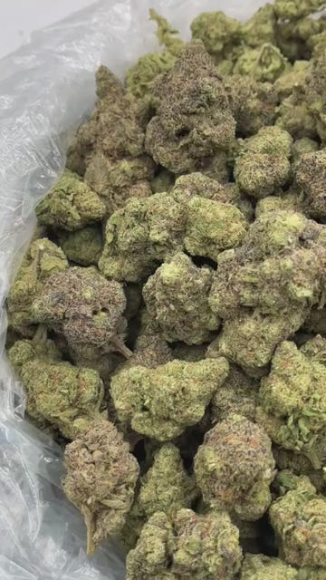🍬 Gummy Bear Indoor THCa Flower 🌿 | Premium 28G Ounce | Sweet Candy & Fruity Terps 🔥