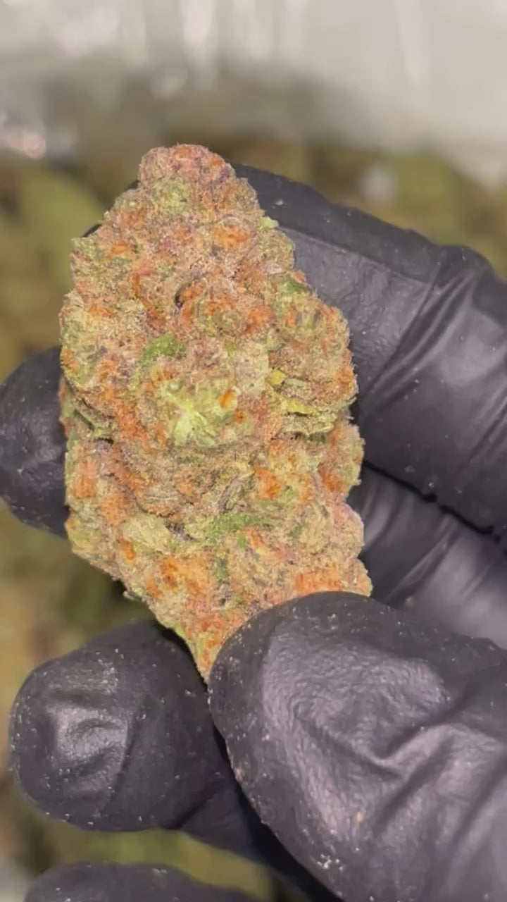 🫐 Blue Dream Indoor THCa Flower – 30.25% THCa | Premium 28G Ounce 💎🌿