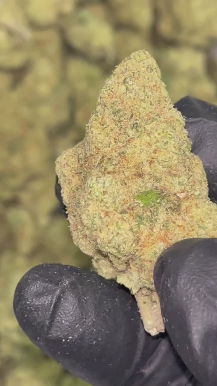 🥭 Papaya Runtz THCa Flower – 30.25% THCa | Premium 28G Ounce 🍬🌿🔥