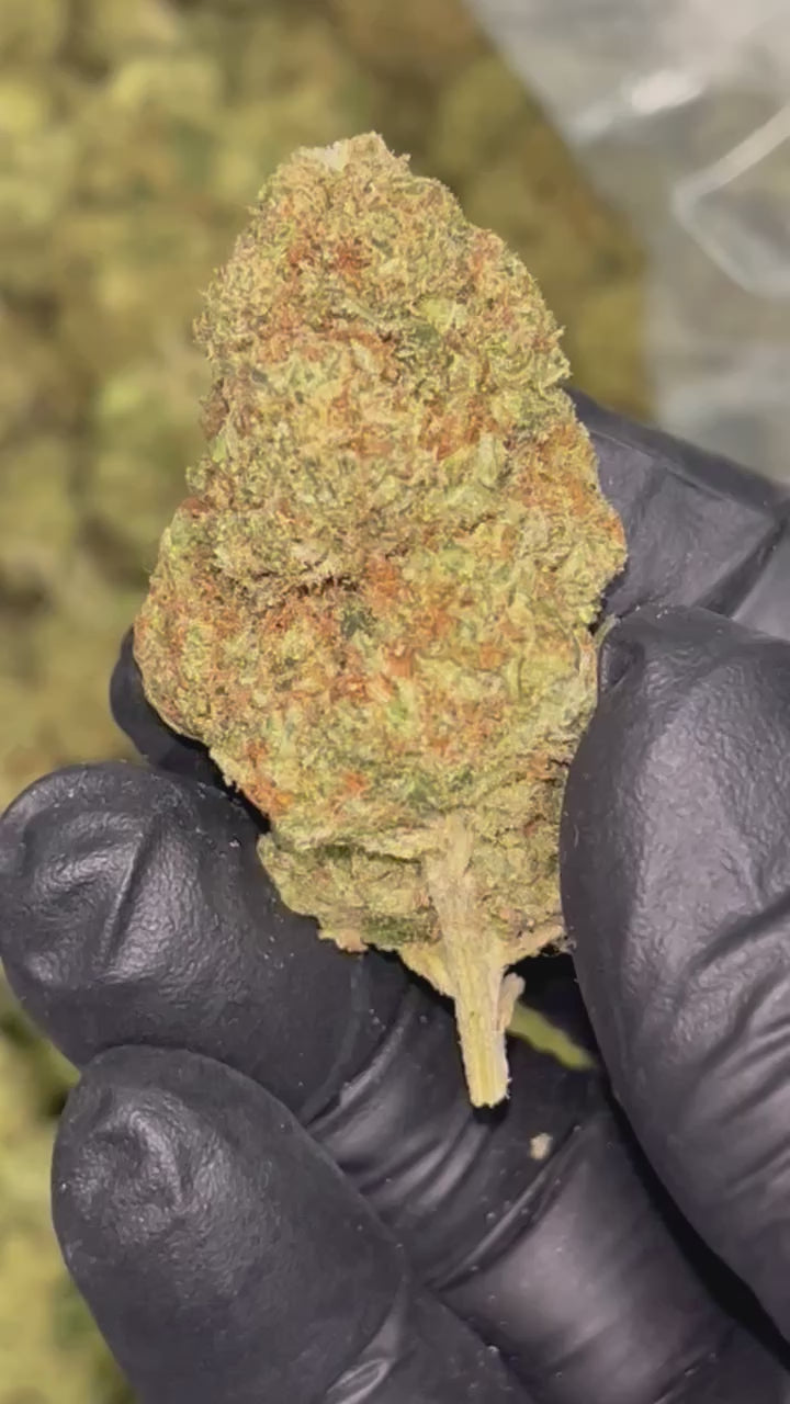 🏎️ Formula 1 Indoor THCa Flower – 32.66% THCa | Premium QP 🌿🔥