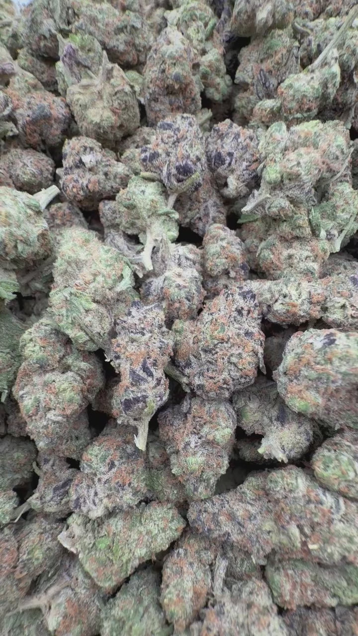 Purple Crack THCa Flower – Indoor 28G Ounce | Green Crack × Purple Kush