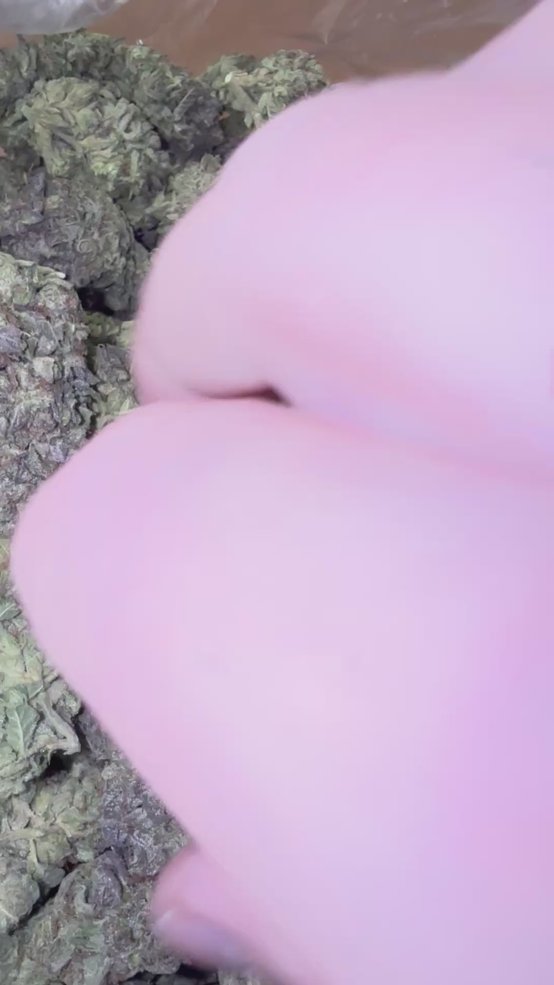 🌿 Bubba's Girl THCa Flower 💎 | Premium Indoor THCa Flower | 28.30% THCa ❄️🍪⛽