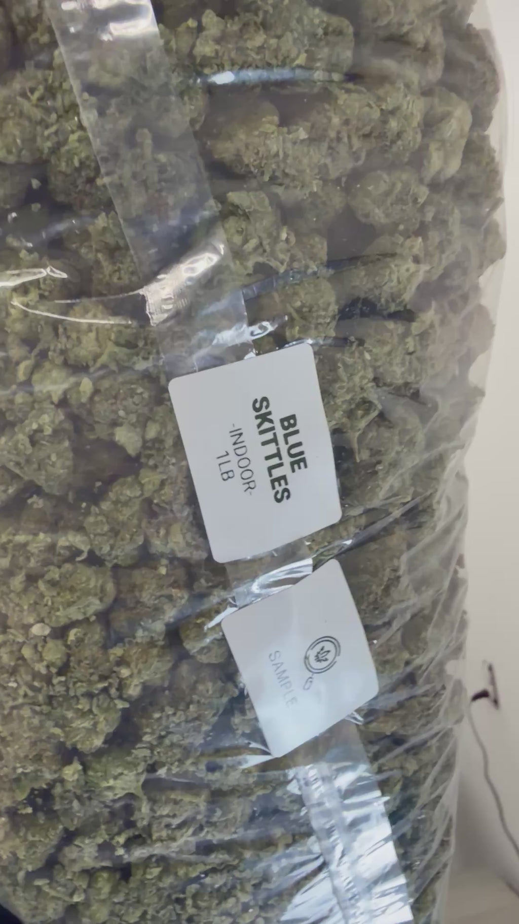 🫐🍬 Blue Skittlez Premium Hybrid THCA Flower | 28G & QP | Sweet Berry Candy Terpenes 🌿🔥