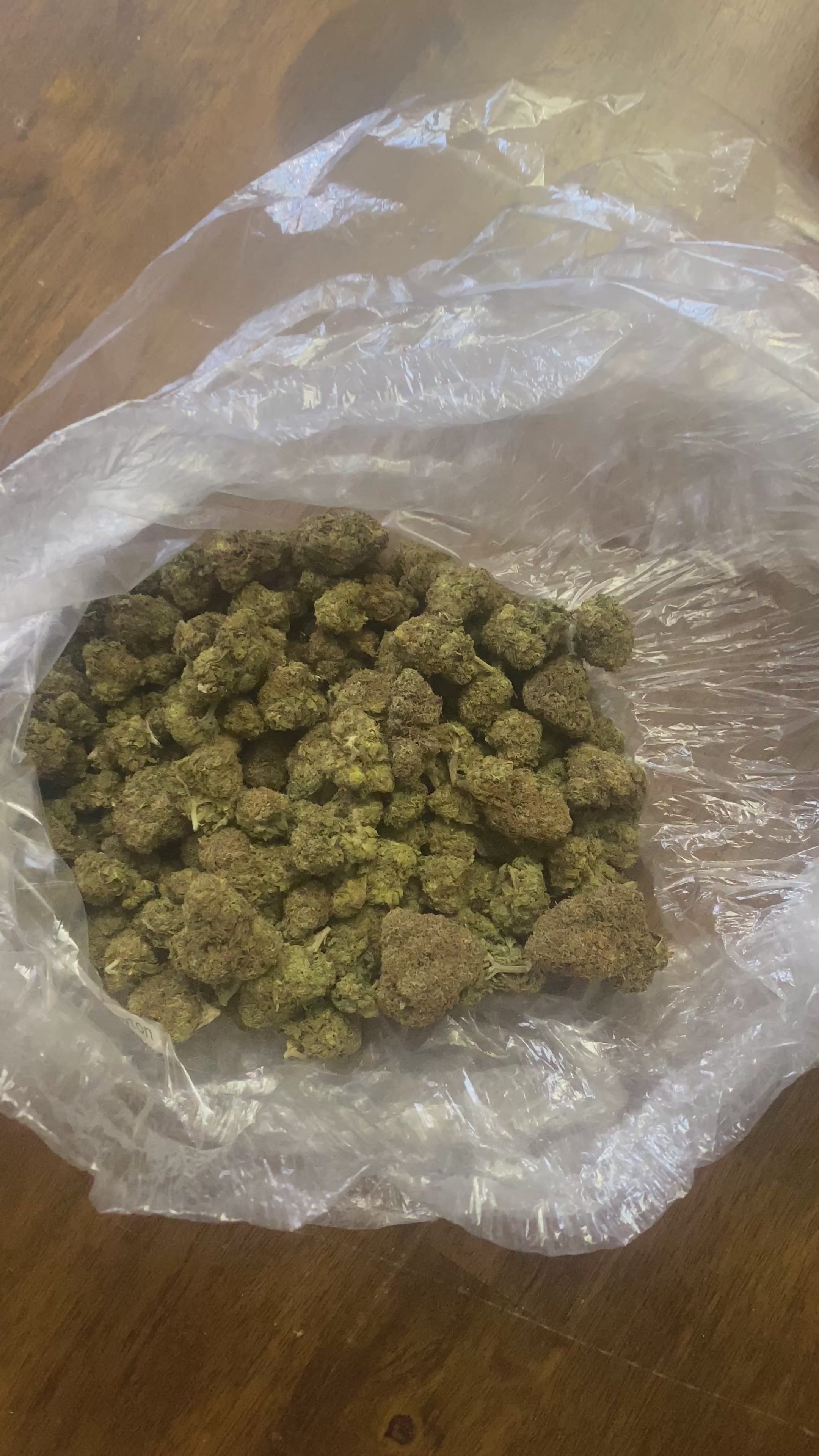 Gary Payton THCa | Premium Indoor Exotic Flower