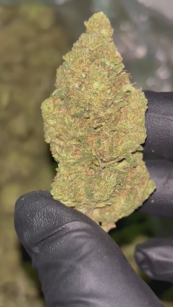🍊 Orange Cream Pop THCa Flower – 31.25% THCa | Citrus Candy Hybrid