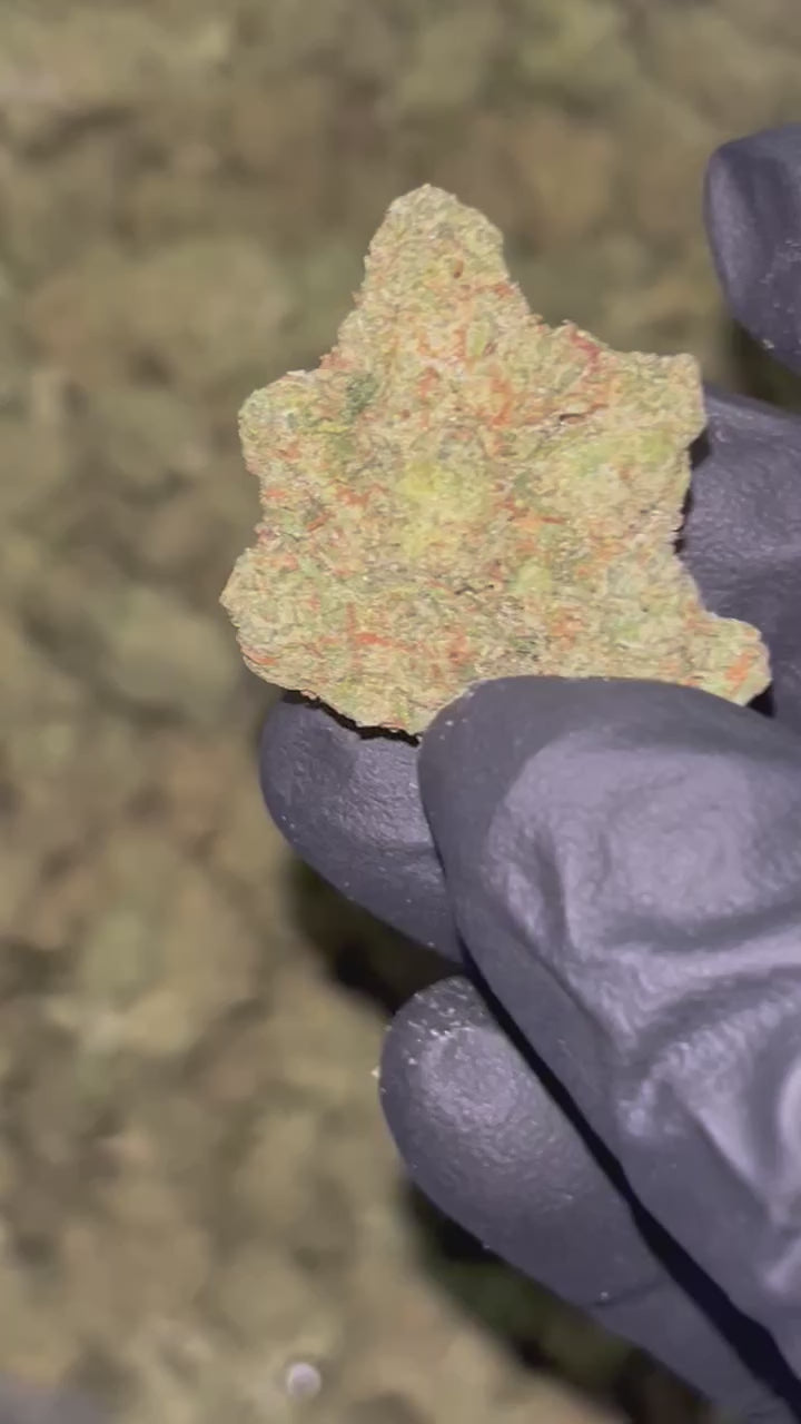 Pierx Supply Sour Berry OG (Indoor Exotic)