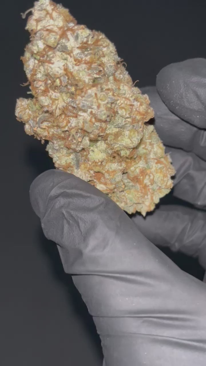 Pierx Supply Bankroll