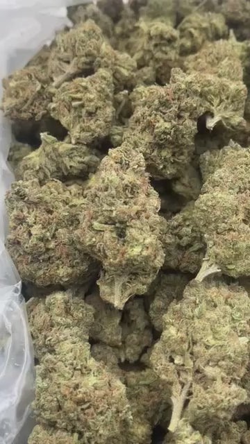 🍊 Tangie Dream THCa Flower | 31.00% THCa | Premium Citrus Hybrid | 28g/QP