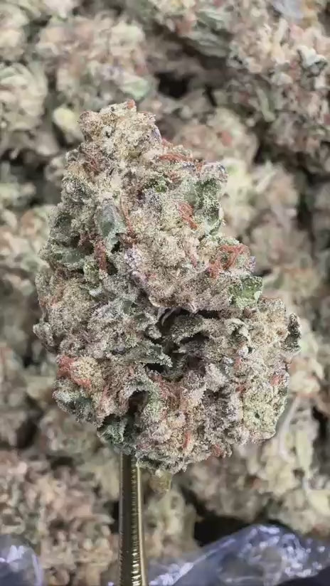 Sour Diesel THCa Flower | Indoor Ounce (7G x 28G)