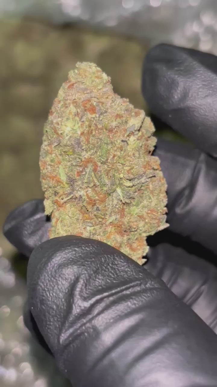 🍋 Lemon Crème THCa Flower – 30.66% THCa | Citrus Dessert Hybrid