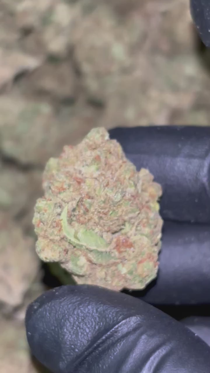 🍇 Jelly Cake THCa Flower – Sweet Berry Cake Flavor | Indica-Dominant Hybrid
