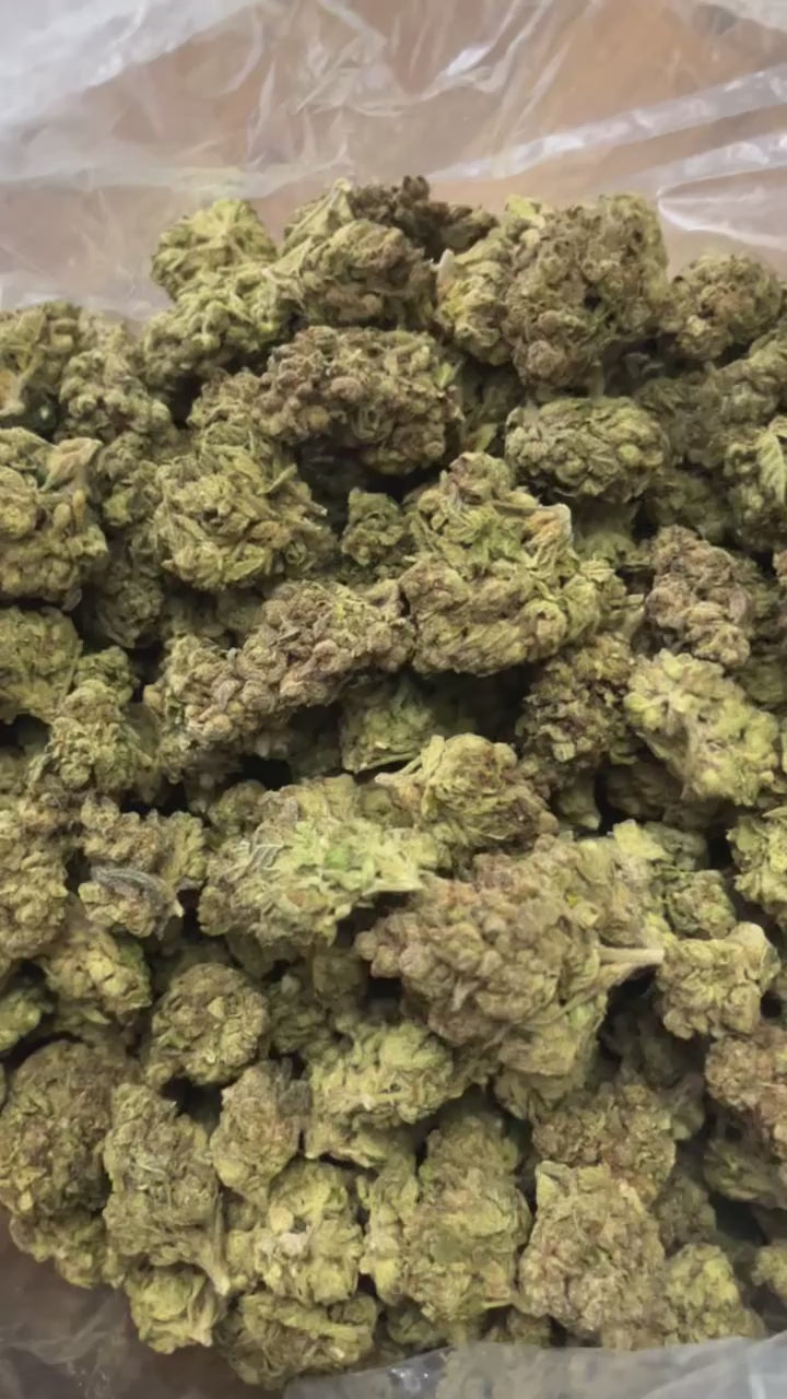 Lemon Cherry Gelato THCa Flower 28g 🍋🍒 | Premium Ounce