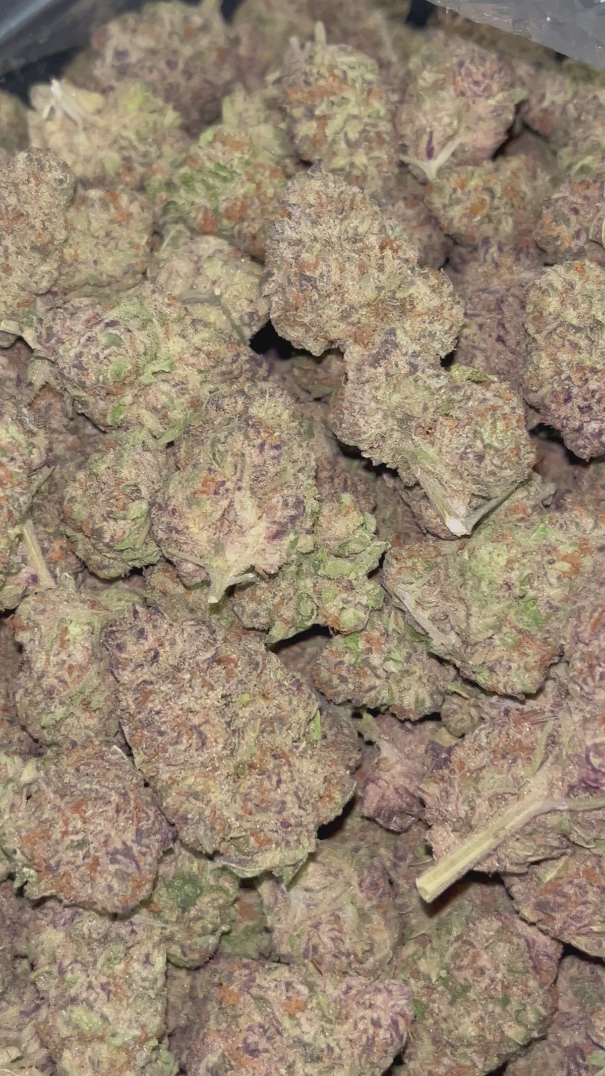 🍇🔥 Forbidden Fruit | 28G/14G Premium THCa Flower | 30.52% THCa | Indica-Dominant Hybrid 🍒💜