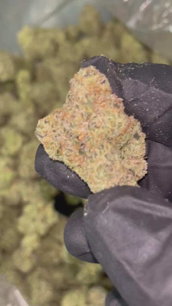 Cherry Gumbo THCa Flower (INDOOR EXOTIC) 3.5g | PieRx Supply