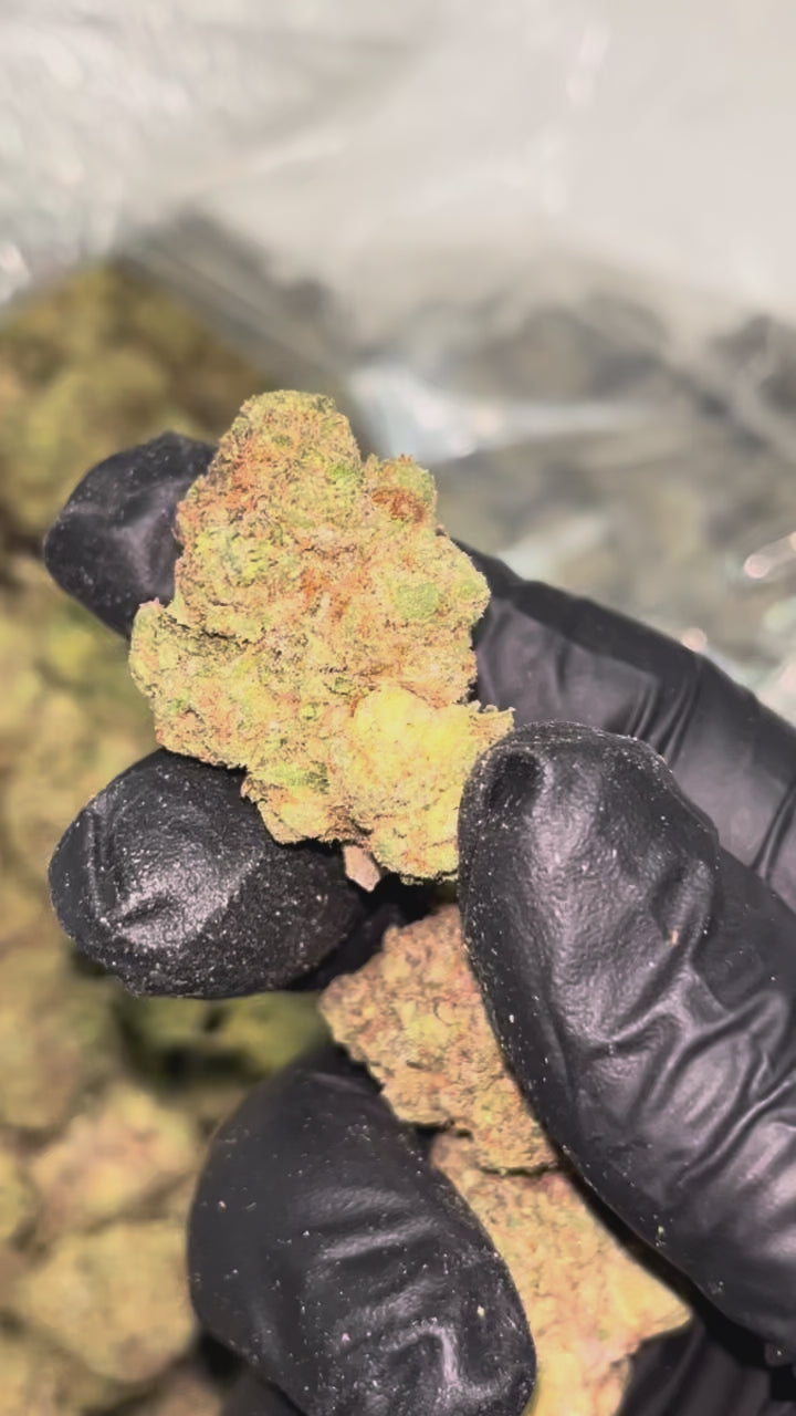 🍬 Candy X 30.79% THCa Indoor Flower – Premium Hybrid 28G Ounce | Sweet Candy & Fruity Profile 🔥