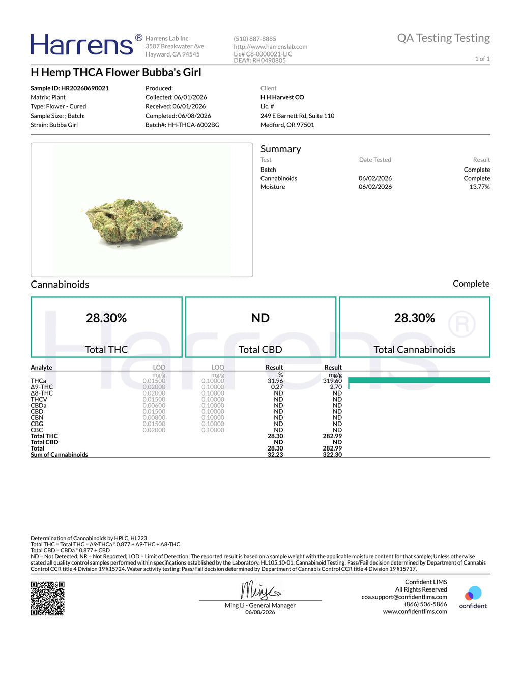 🌿 Bubba's Girl THCa Flower 💎 | Premium Indoor THCa Flower | 28.30% THCa ❄️🍪⛽