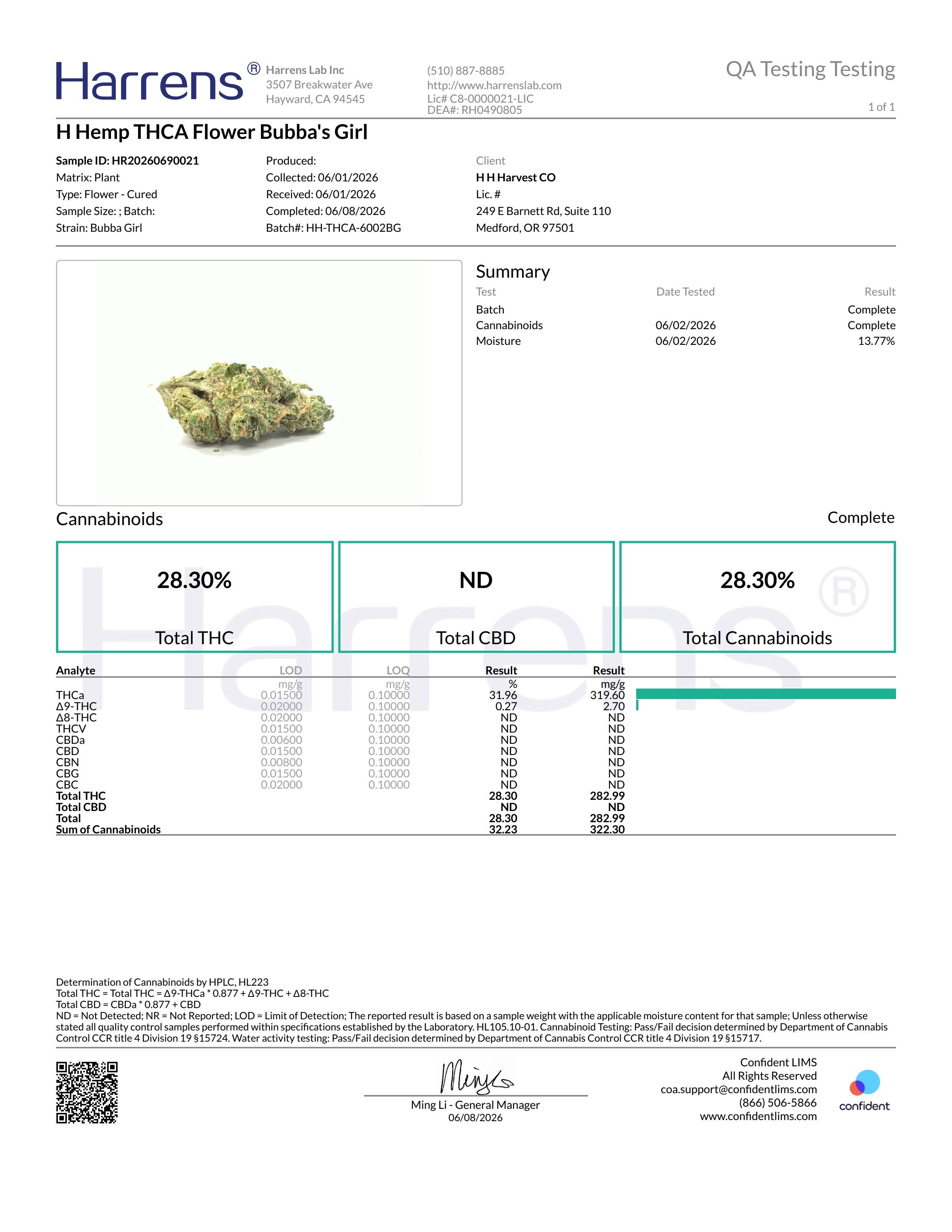 🌿 Bubba's Girl THCa Flower 💎 | Premium Indoor THCa Flower | 28.30% THCa ❄️🍪⛽