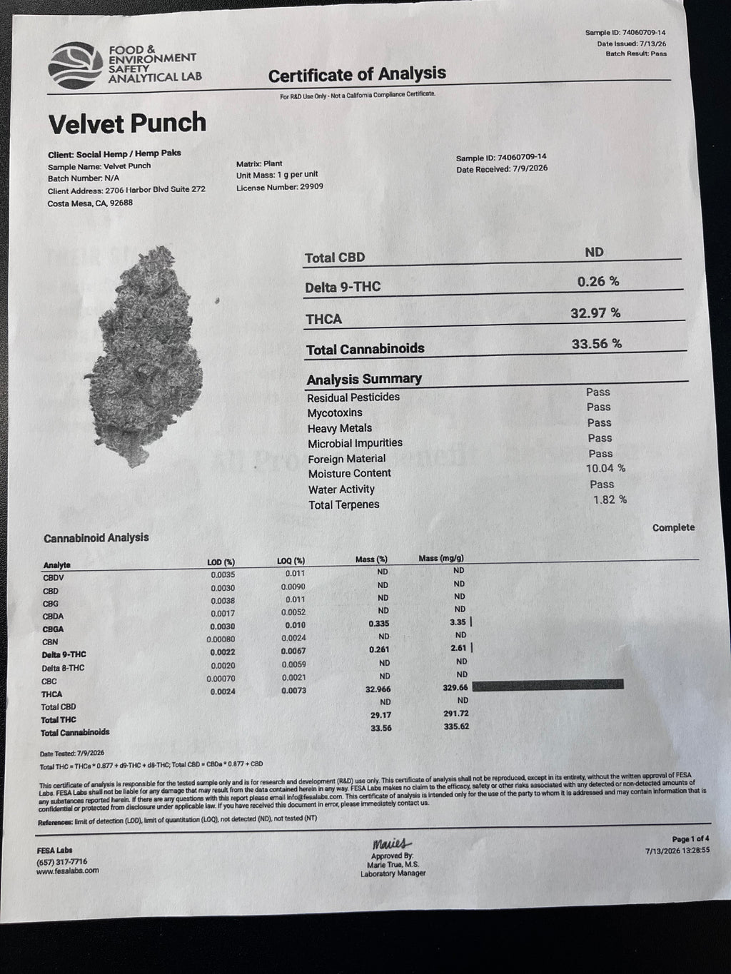 🍇 Velvet Punch 32.97% THCA Flower – Indoor QP (4 Ounces) | Purple Punch × Purple Kush 💜🥊